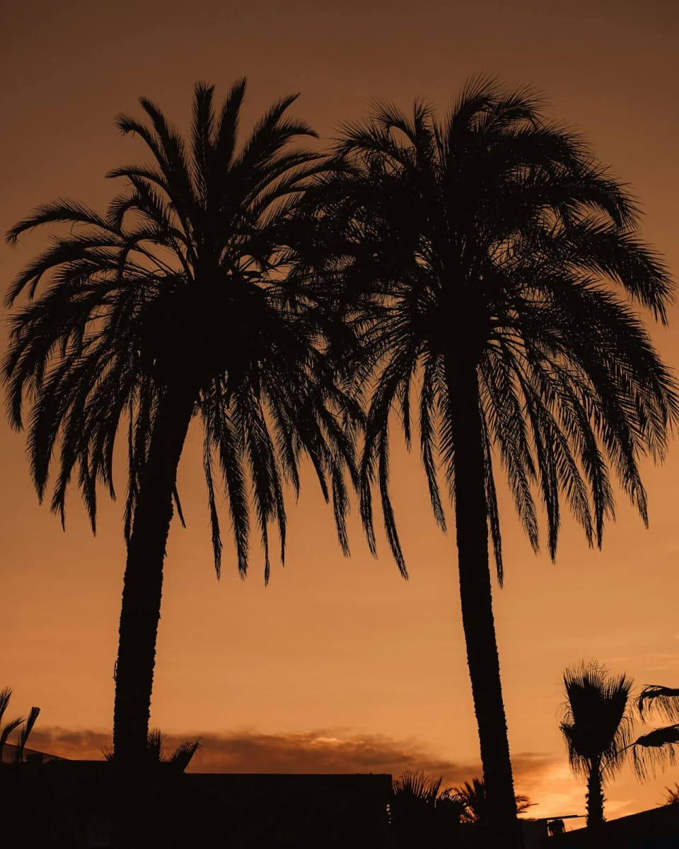 Playa Soleil Ibiza — photo 3